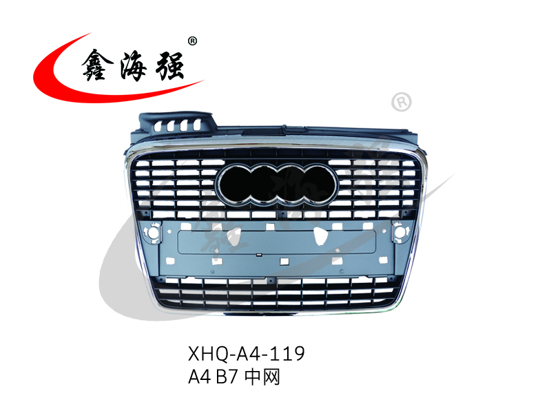 XHQ-A4-119 A4 B8 in the net